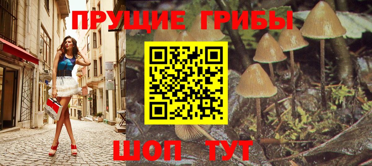 Звенигород  Псилоцибиновые грибы MAGIC MUSHROOMS  Вход с VPN  Псилоцибиновые грибы Cubensis 